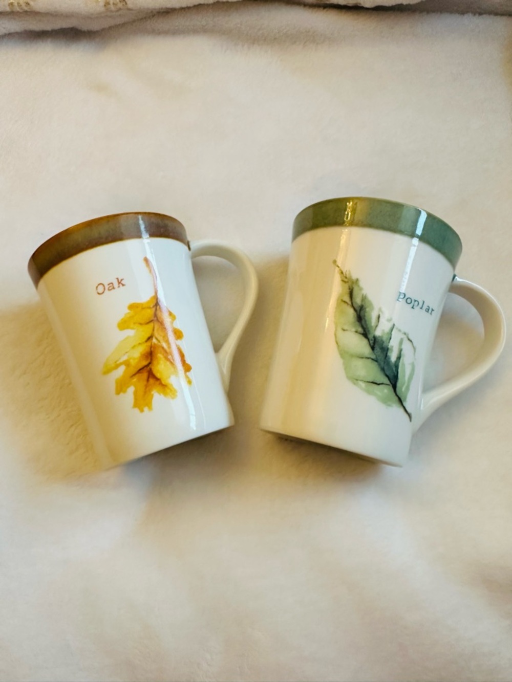 Starbucks Oak & Poplar Leaf - Set of 2